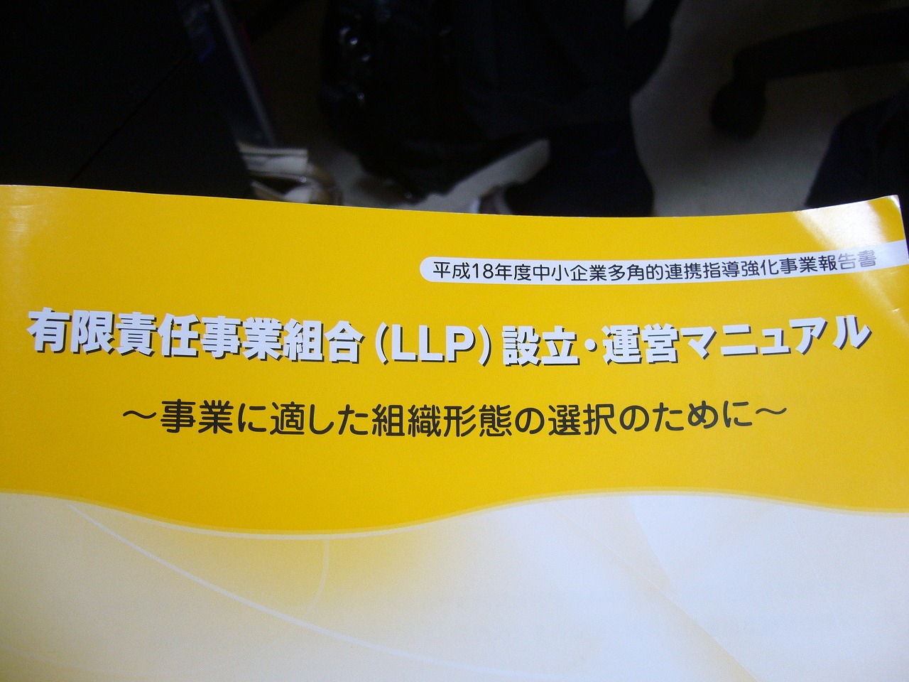 P1020859.jpg