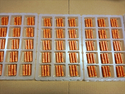 TEC3351 (1).jpg